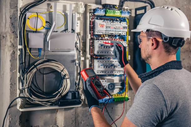 Best Electric Panel Repair  in Lewes, DE
